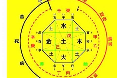 怎麼查八字|生辰八字算命、五行喜用神查詢（免費測算）